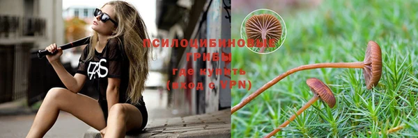 трава Верея