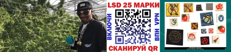 Наркотические марки 1,8мг Купить Сураж