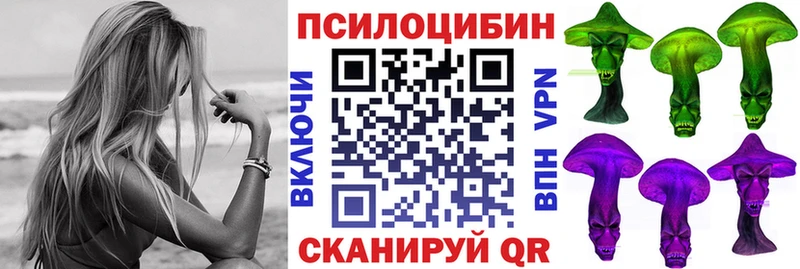 Купить где  Сураж  Псилоцибиновые грибы мицелий 
