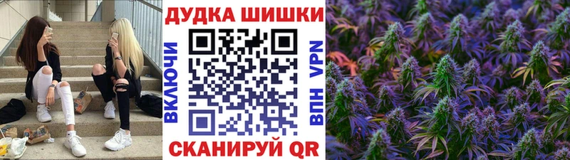 МАРИХУАНА план  Купить где  Сураж 